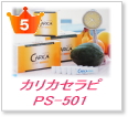 ���ꥫ�����PS-501