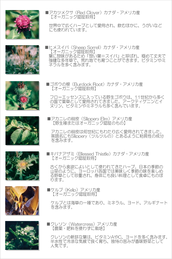 フローエッセンス+は、7種のハーブをブレンドしたハーブティーです。