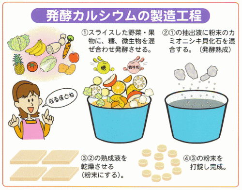 ȯ�ڥ��륷������¤����