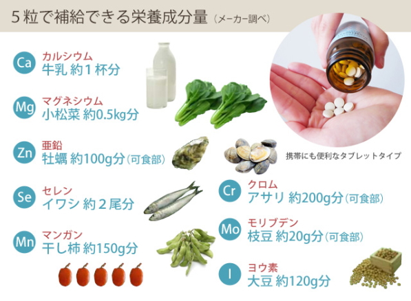 �ޥ���ߥͥ�륵�ץ���ȡ֥ץ��ߥͥ�����ʬ